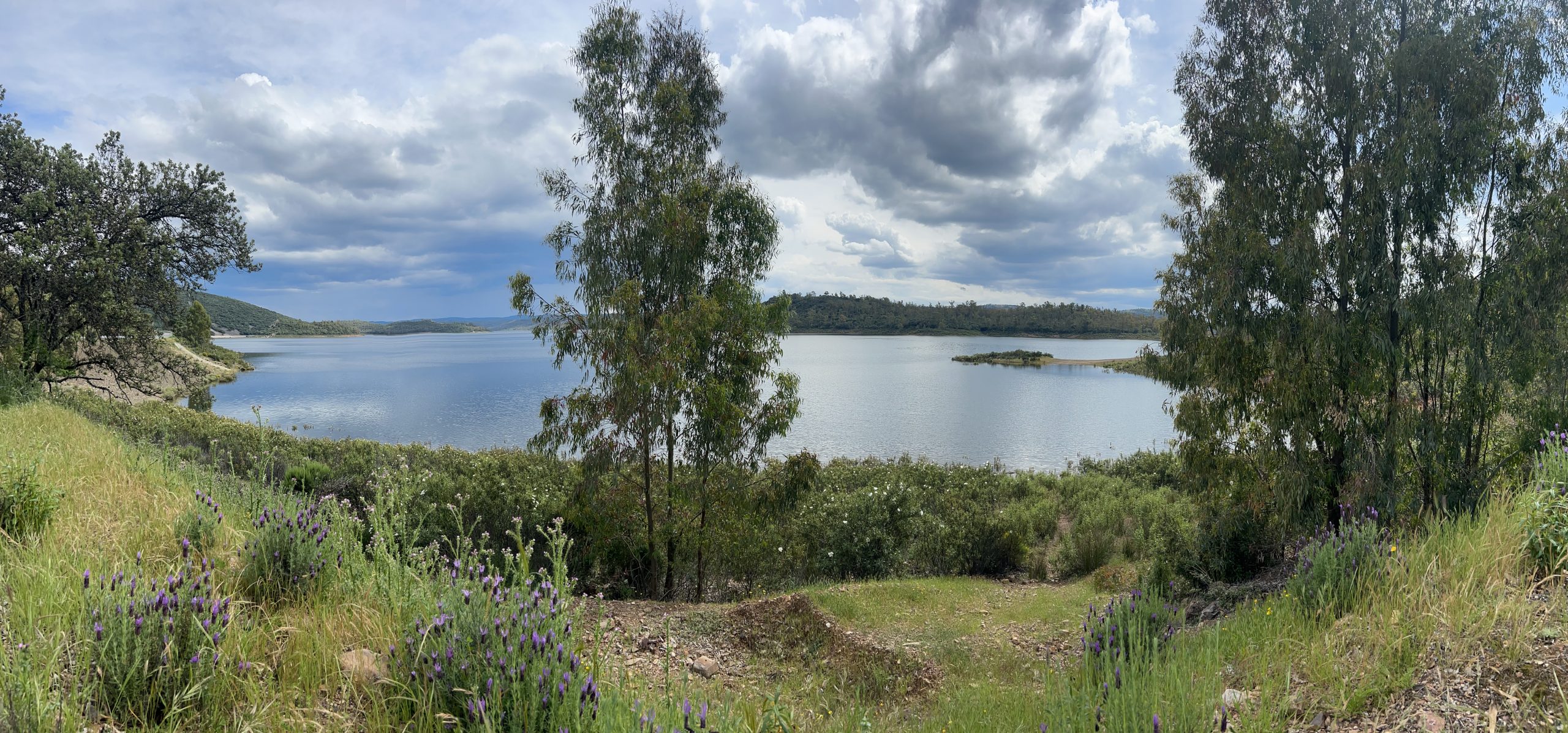 Embalse de Orellana, viaje de pesca en España, voyage de pêche en Espagne, séjour de pêche en Espagne, estancia de pesca en España
