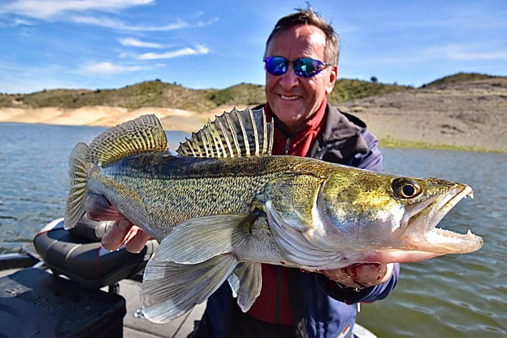 Lucio captura viaje de pesca en España, voyage de pêche en Espagne, séjour de pêche en Espagne, estancia de pesca en España