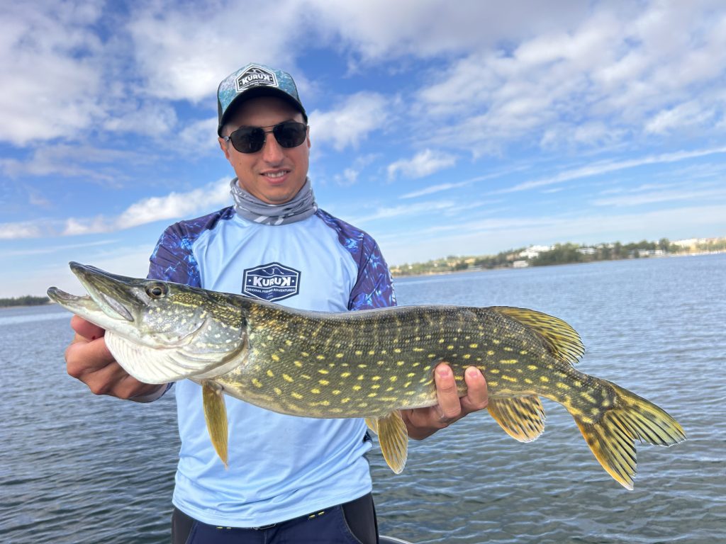 Lucio captura España / vacaciones de pesca en España / vacances pêche Espagne