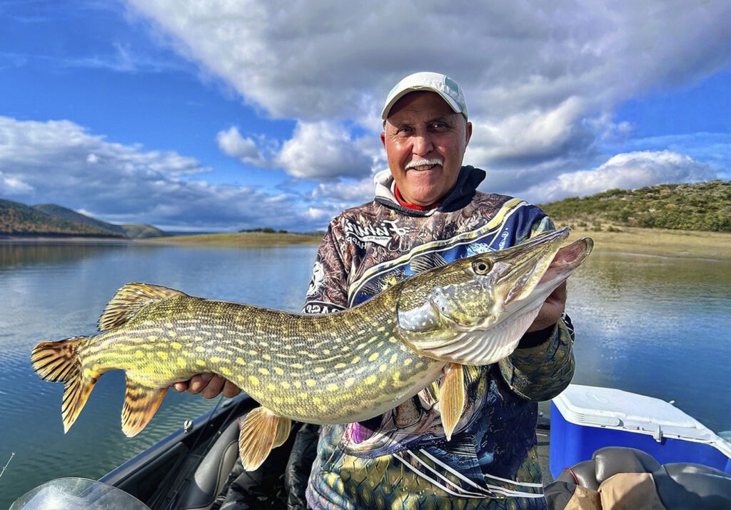 Gran lucio capturado en embalse de Extremadura – Viaje de pesca en España / Gros brochet pêché dans un réservoir en Estrémadure – Voyage de pêche en Espagne